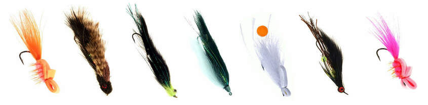 Arctic Char Fly Patterns